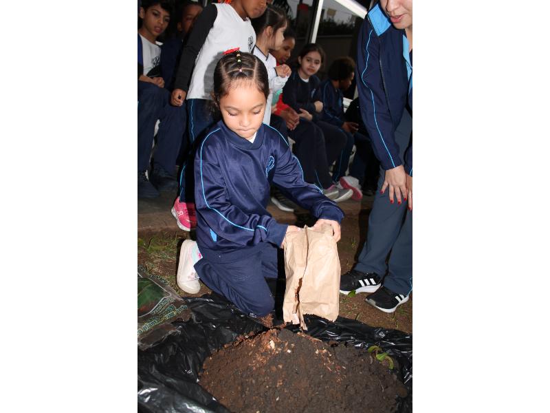 image01