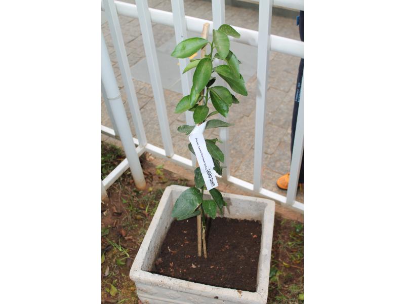 image01