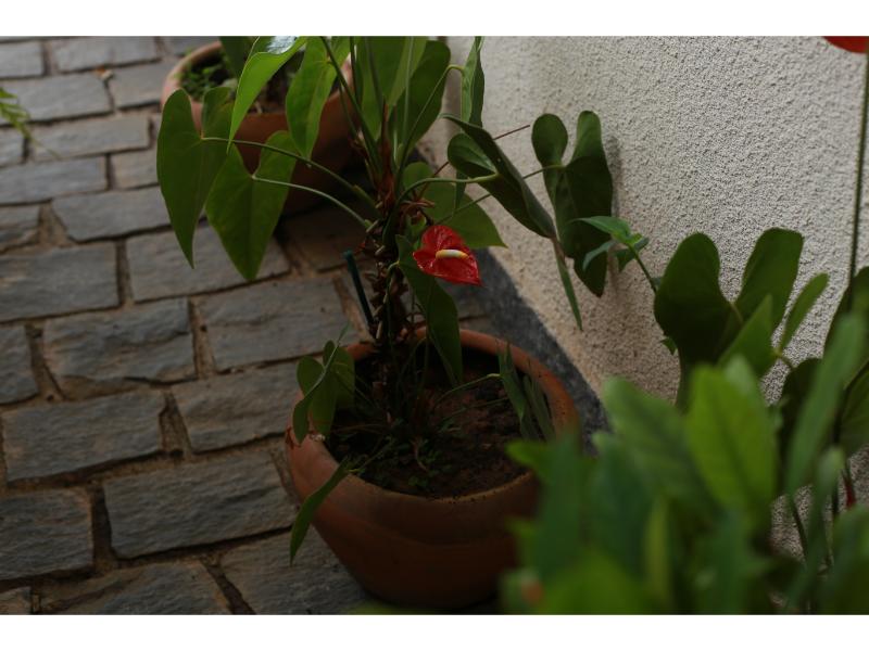 image01