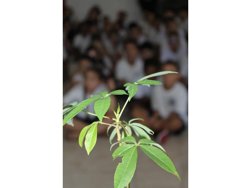 image01